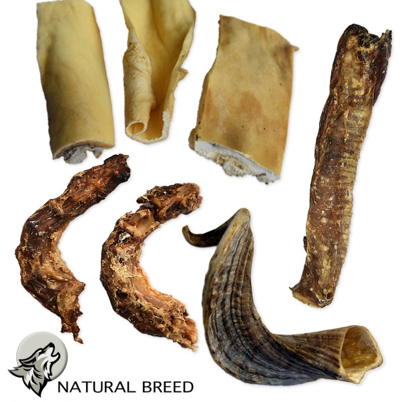 Dog treats mix, 100% natural. Origin Brittany (France)