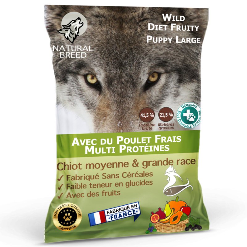 Wild Diet Fruity Puppy Large