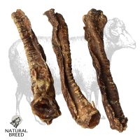 Lamb Trachea