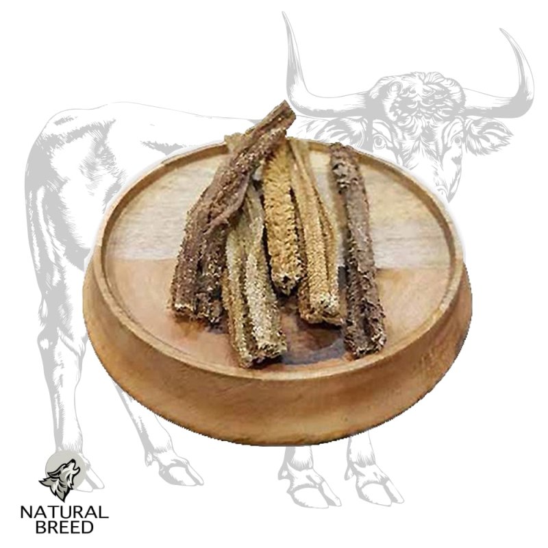 Panse de boeuf 30cm - Friandise naturelle à mâcher pour Chien