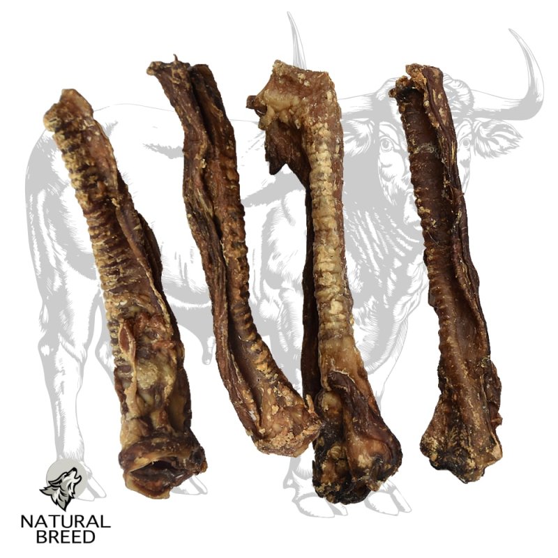 Beef Trachea 30 cm