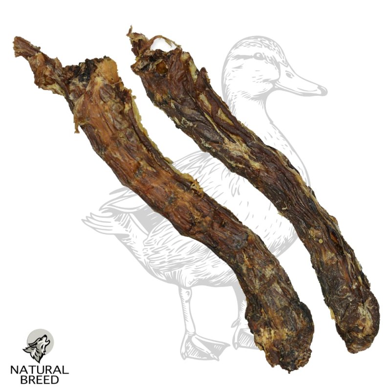 Duck neck - Natural Treats - dogs