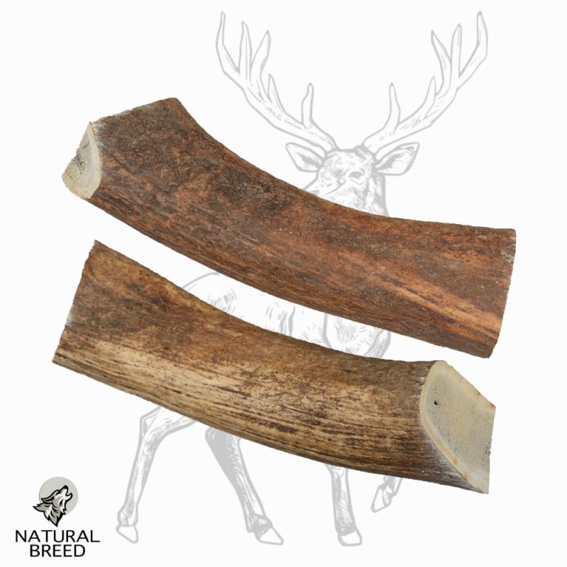 Big deer antler - Natural Treats - dogs