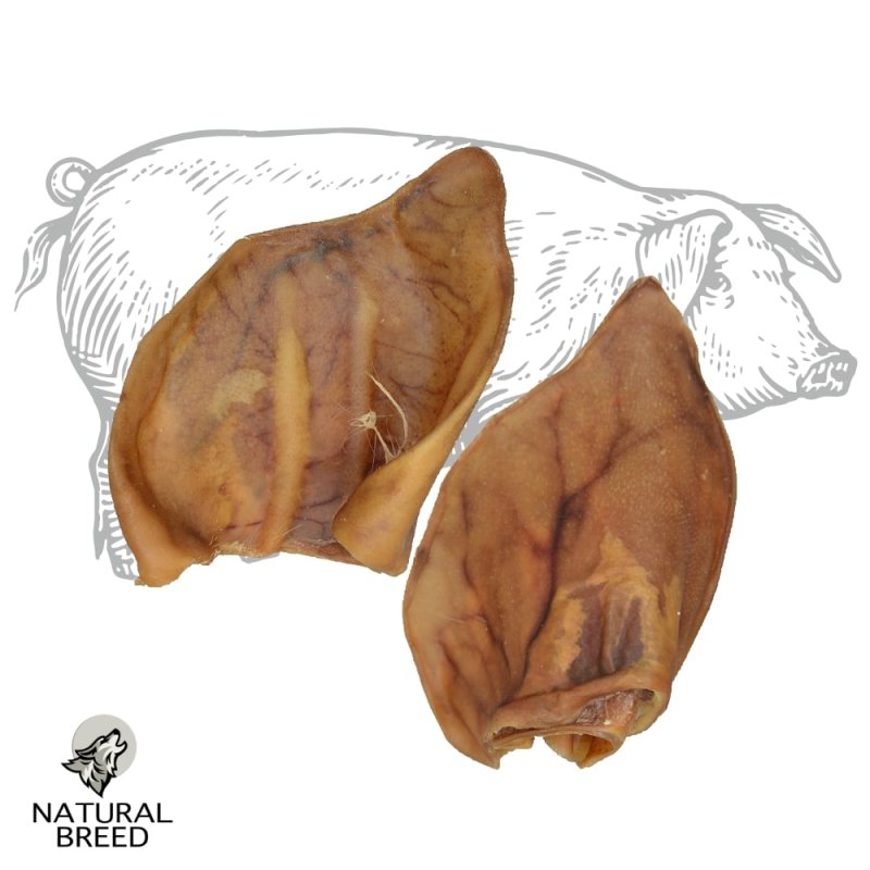 Pig - Natural Treats - dogs