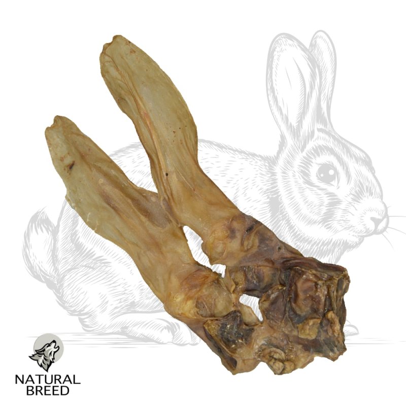 Rabbit ear - Natural Treats - dogs