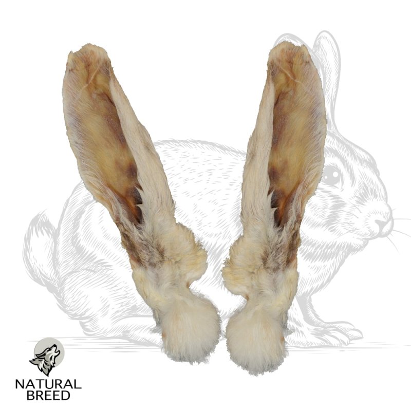 Ear rabbit with fur - Natural Treats - dogs