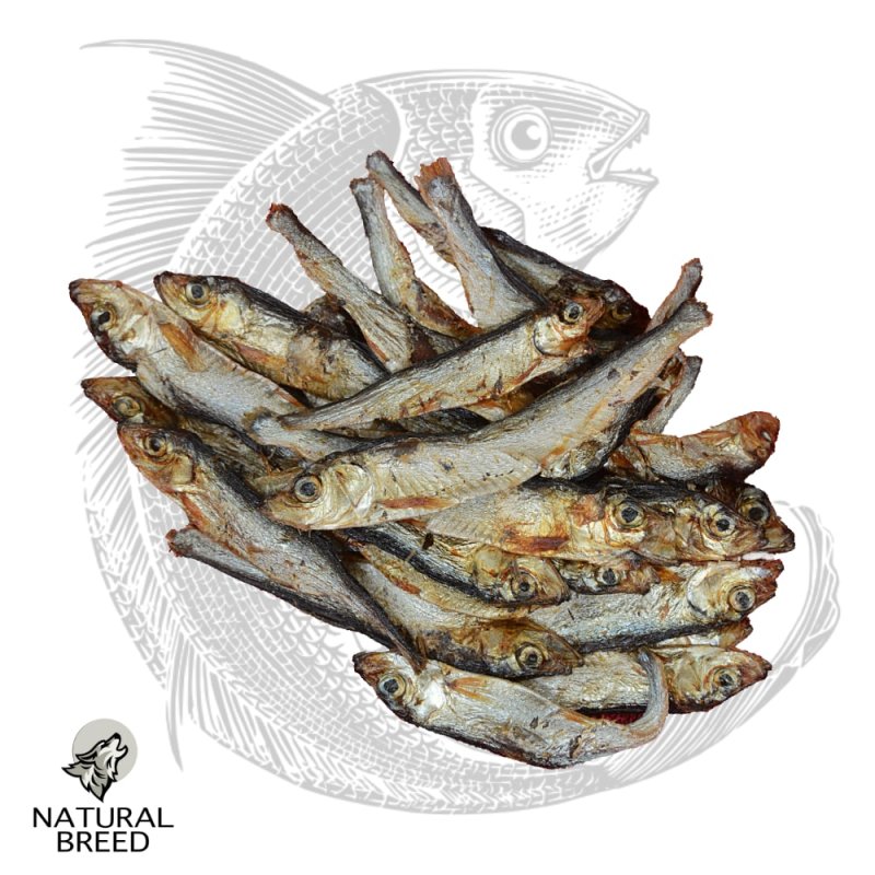 Smelts - Natural Treats - dogs and cats